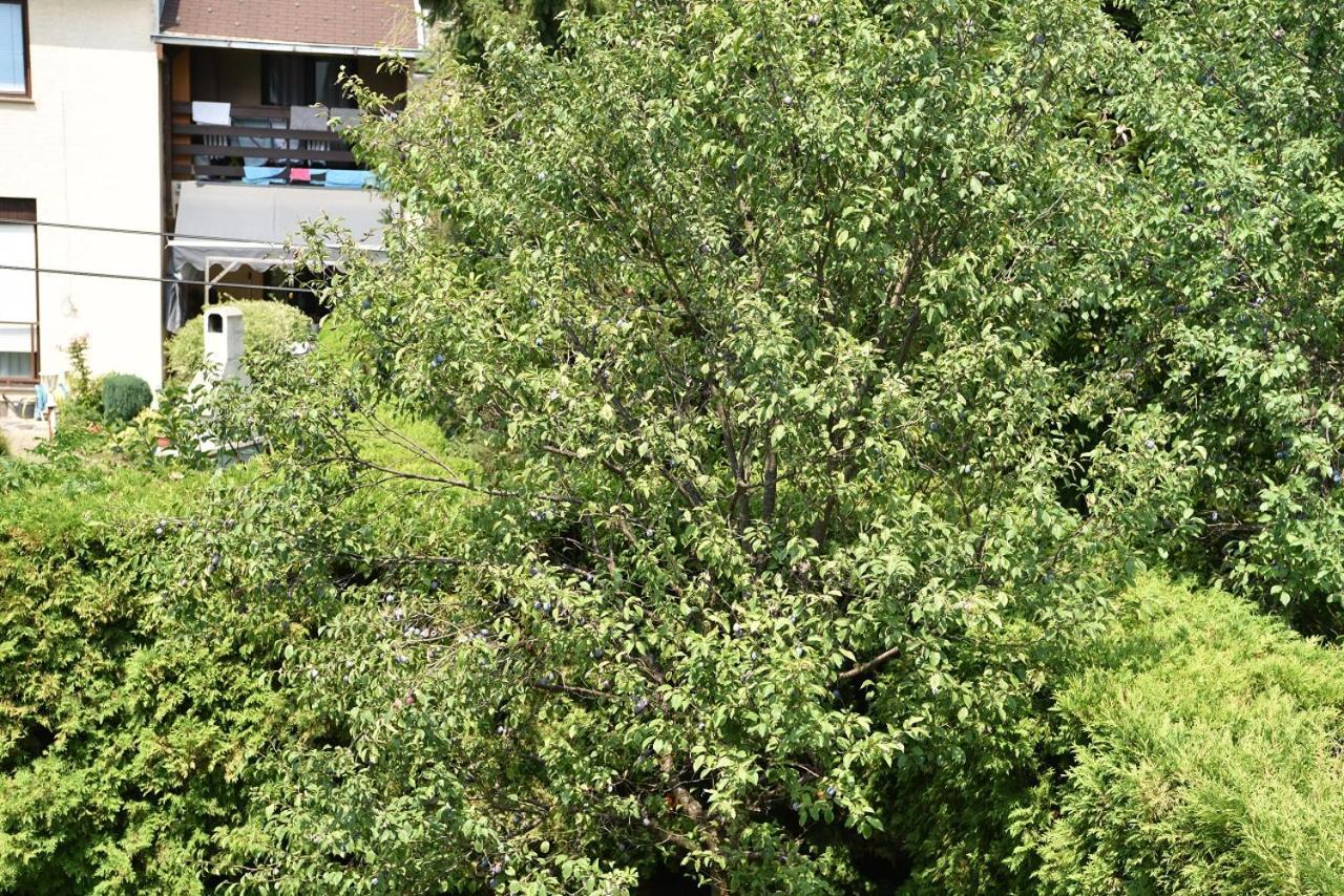 Apartman Jadranka Zaprešić Exterior foto